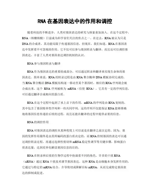 RNA在基因表达中的作用和调控