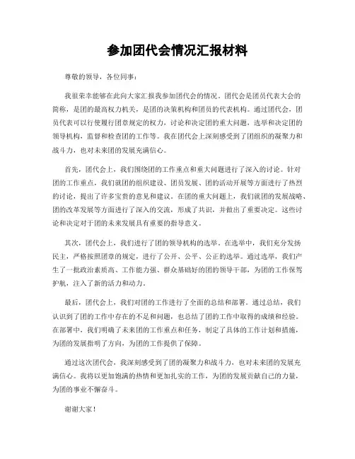 参加团代会情况汇报材料