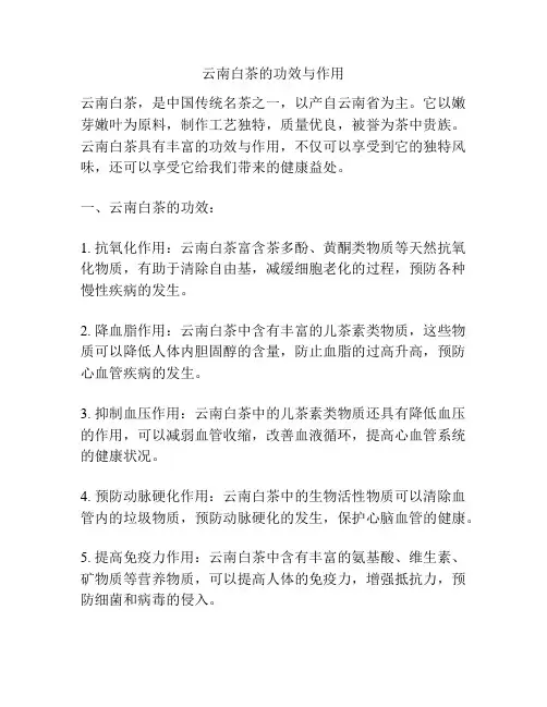 云南白茶的功效与作用