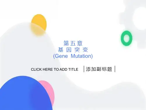 基因突变及检出