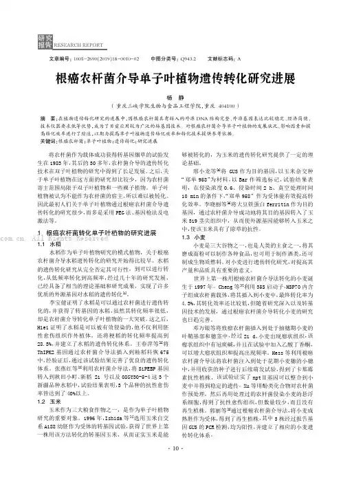 根癌农杆菌介导单子叶植物遗传转化研究进展
