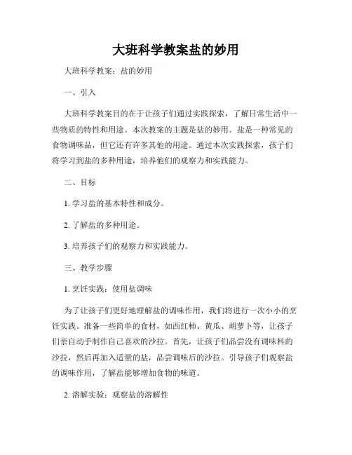 大班科学教案盐的妙用 (2)