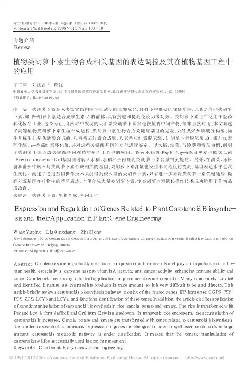 植物类胡萝卜素生物合成相关基因的表达调控及其在植物基因工程中的应用