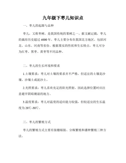 九年级下枣儿知识点