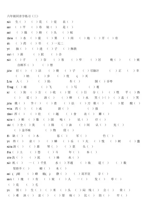 部编人教版最新小学六年级语文下册同音字练习(三)