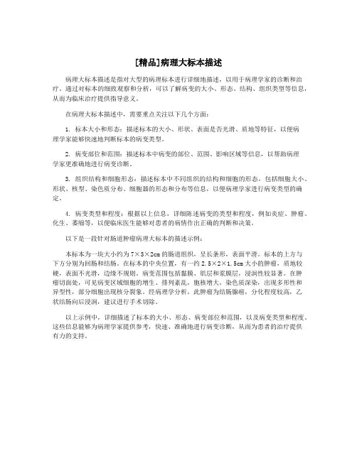 [精品]病理大标本描述