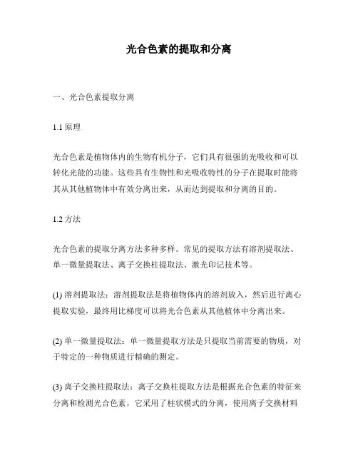 光合色素的提取和分离