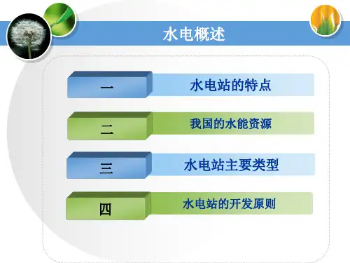 水电 概述