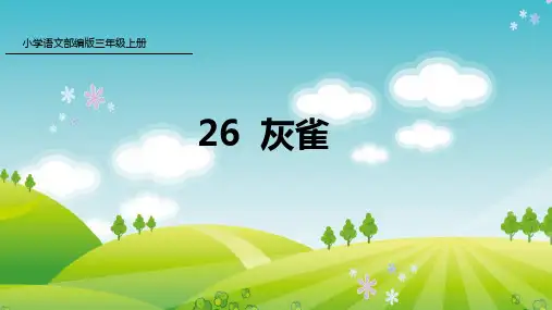 新人教版部编本三年级上册语文26 灰雀 课件