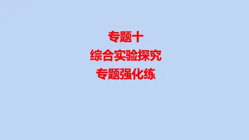 高三化学高考备考一轮复习专题10综合实验探究课件