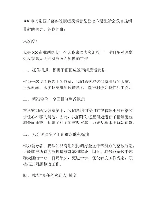 XX审批副区长落实巡察组反馈意见整改专题生活会发言提纲