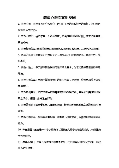 养鱼心得文案朋友圈