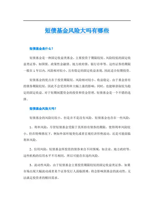 短债基金风险大吗有哪些