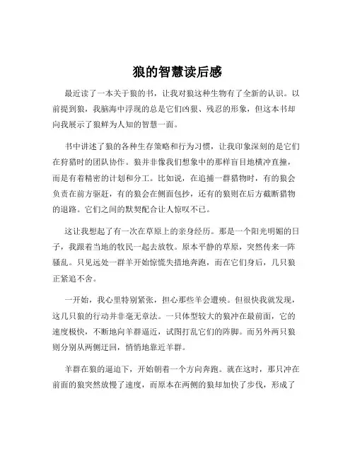 狼的智慧读后感