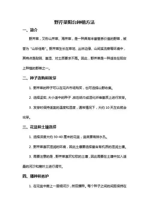 野芹菜阳台种植方法