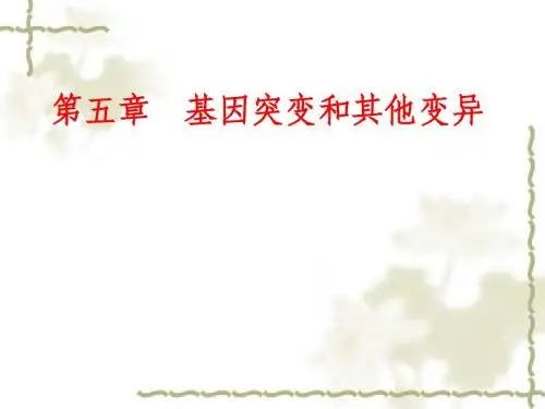 高一生物基因突变和基因重组