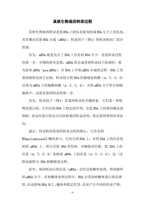 真核生物基因转录过程