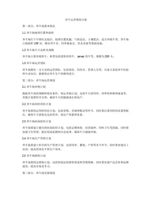 养牛运营规划方案