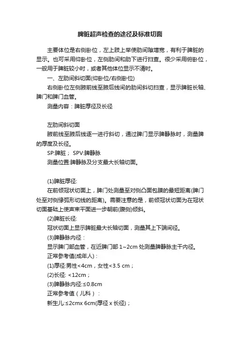 脾脏超声检查的途径及标准切面