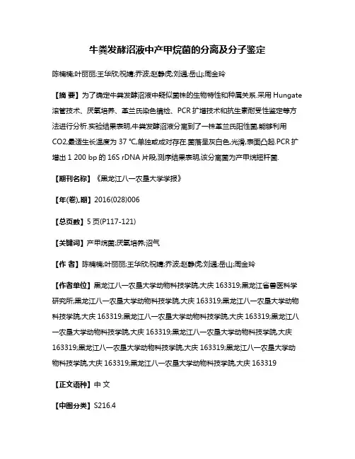 牛粪发酵沼液中产甲烷菌的分离及分子鉴定