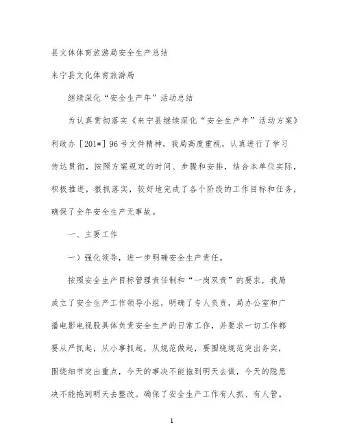 县文体体育旅游局安全生产总结