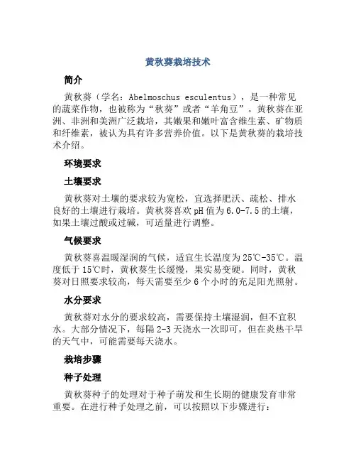 黄秋葵栽培技术