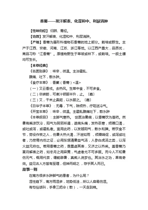 香薷——发汗解表、化湿和中、利尿消肿