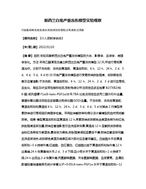 新西兰白兔严重冻伤模型实验观察
