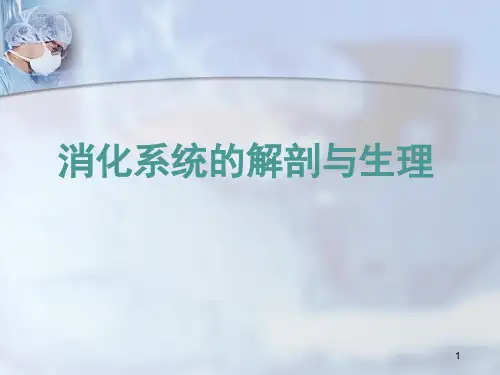消化系统解剖生理幻灯片课件