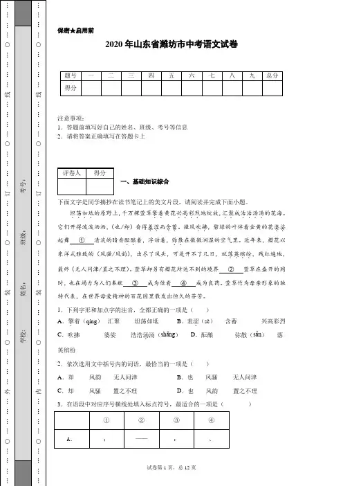 2020年山东省潍坊市中考语文试卷(含详细解析)