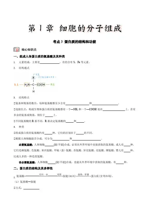 考点34蛋白质的结构和功能细胞中有机化合物的鉴定(讲义)(原卷版)