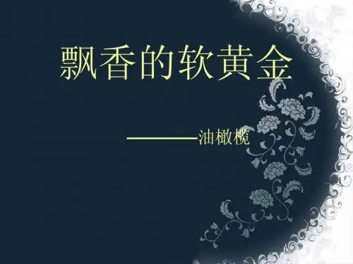 油橄榄