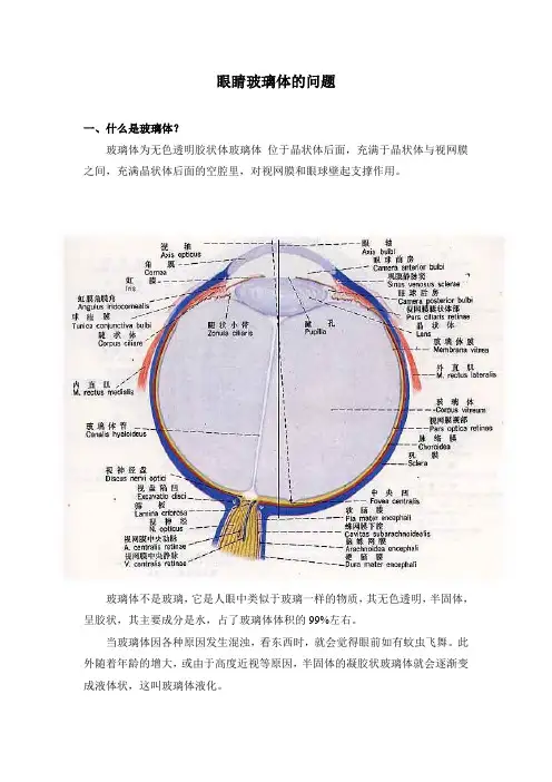 眼睛玻璃体的问题