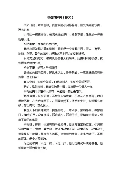 河边的柳树（散文）