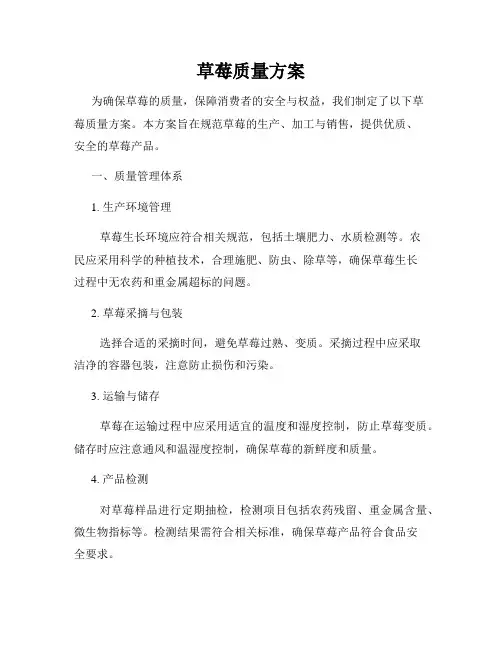 草莓质量方案