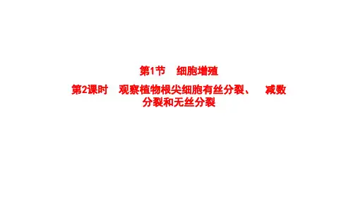 新教材苏教版生物必修1课件4-1-2观察植物根尖细胞有丝分裂减数分裂和无丝分裂
