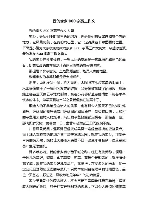 我的家乡800字高三作文