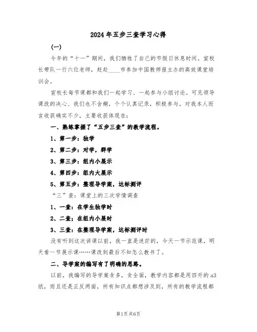 2024年五步三查学习心得(2篇)