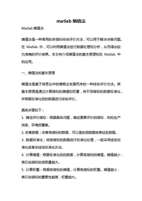 matlab熵值法