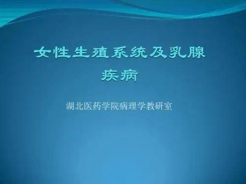 病理学(第八版)切片考试女性生殖系统疾病