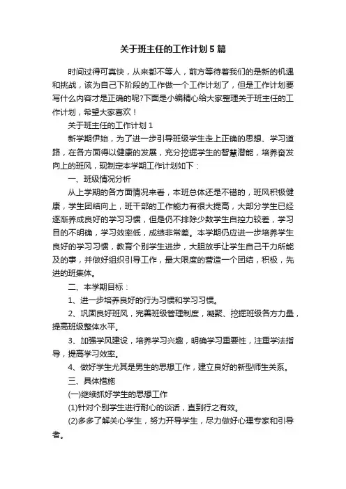 关于班主任的工作计划5篇