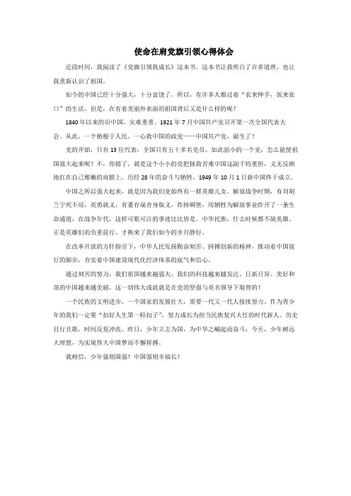 使命在肩党旗引领心得体会