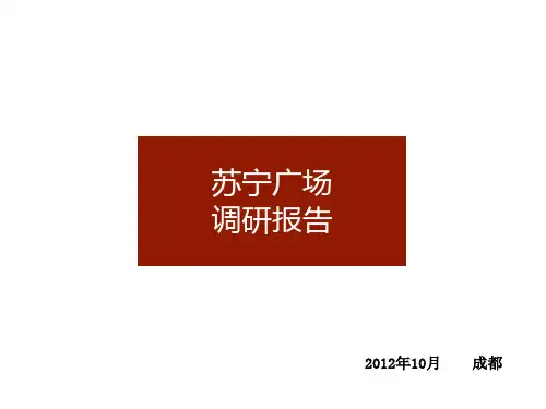 成都苏宁广场市场调研报告页