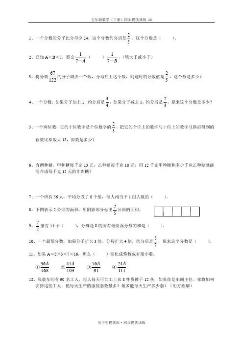 五年级数学(下册)同步提优训练 13