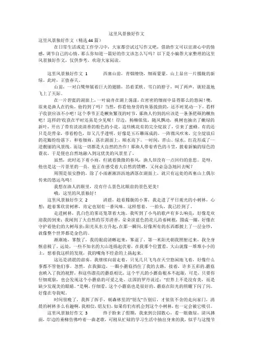 这里风景独好作文