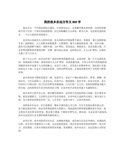 我的故乡在远方作文800字