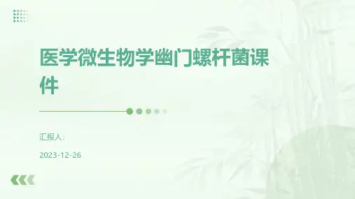 医学微生物学幽门螺杆菌课件