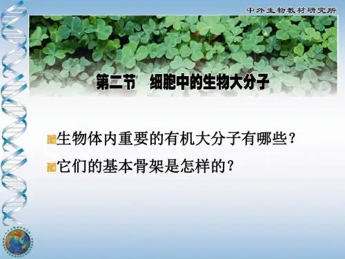 第二节细胞中的生物大分子