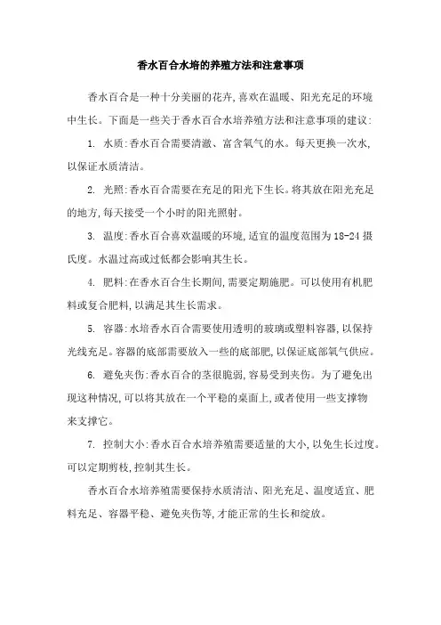香水百合水培的养殖方法和注意事项