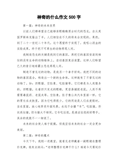 神奇的什么作文500字_作文